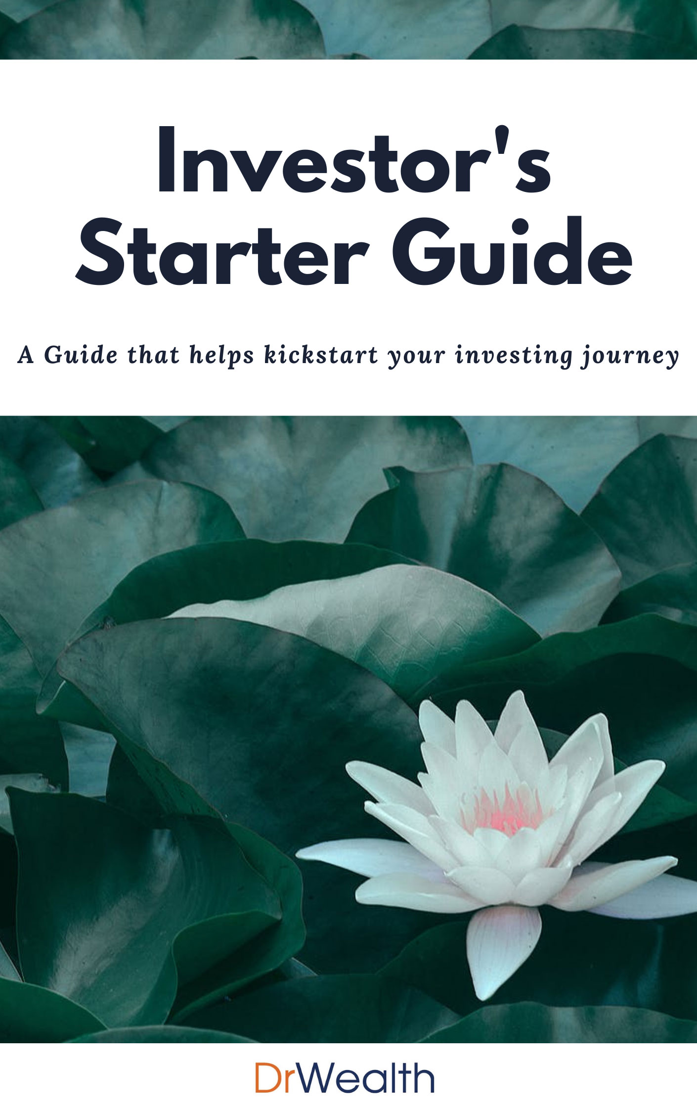 Investors Starter Guide